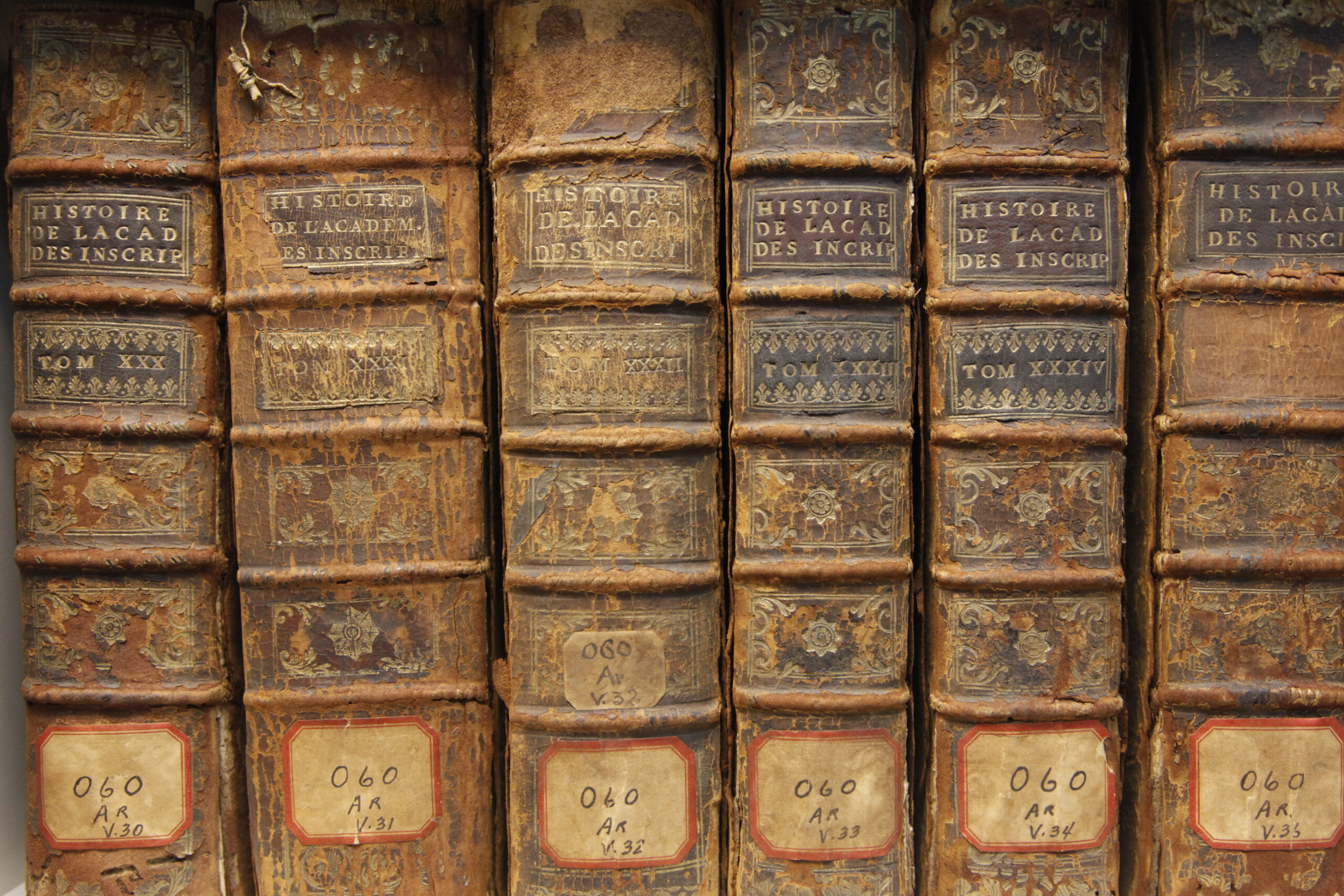 Archives & Collections